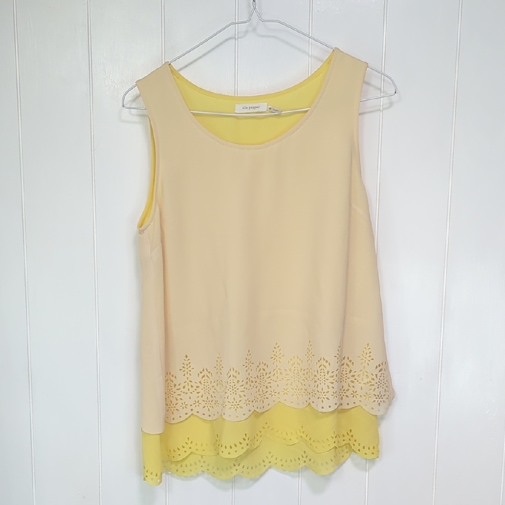 ❤️5/$25 Blu Pepper Cream and Yellow Layered Blouse